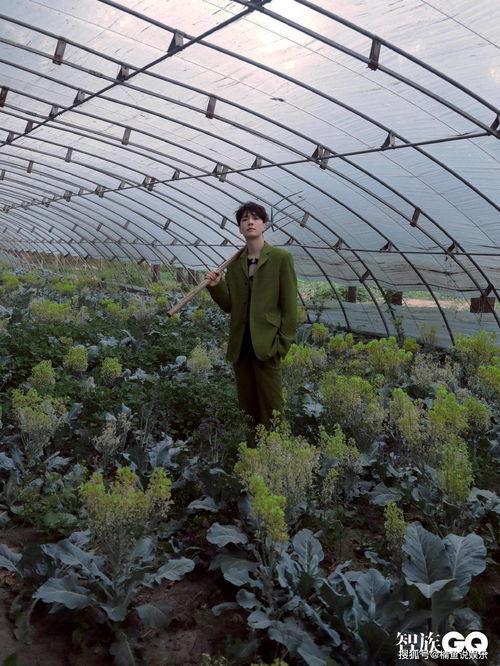 惬意吃瓜视频在线观看免费,免费观看吃瓜视频盛宴 第1张 惬意吃瓜视频在线观看免费,免费观看吃瓜视频盛宴 第1张