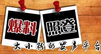 新闻马上爆料怎么办,新闻马上爆料，热点事件实时追踪